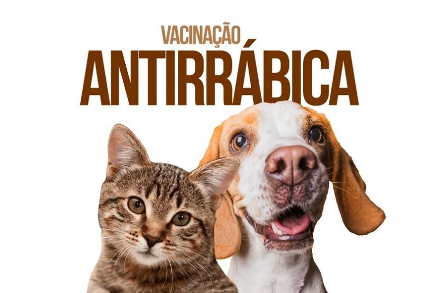 VACINA&Ccedil;&Atilde;O ANTIR&Aacute;BICA